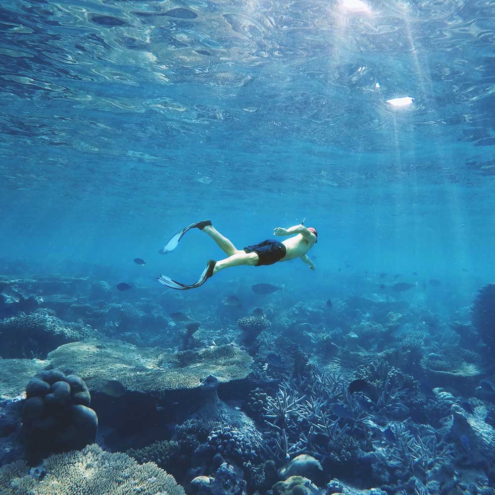 Best Value - Kashmir - 3 Days 2 Nights