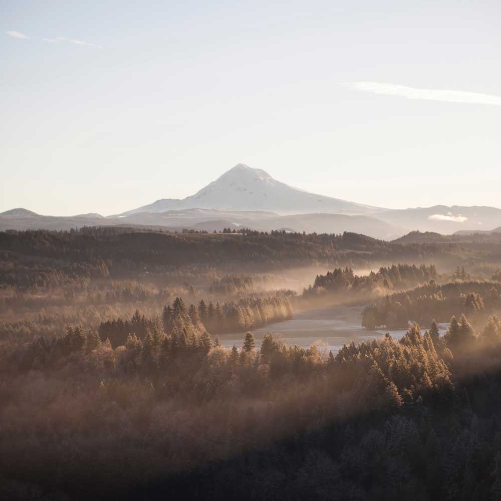 Perfect Experience - Kerala - 6 Days 5 Nights